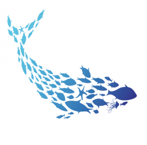 ООО "Море рыбы"